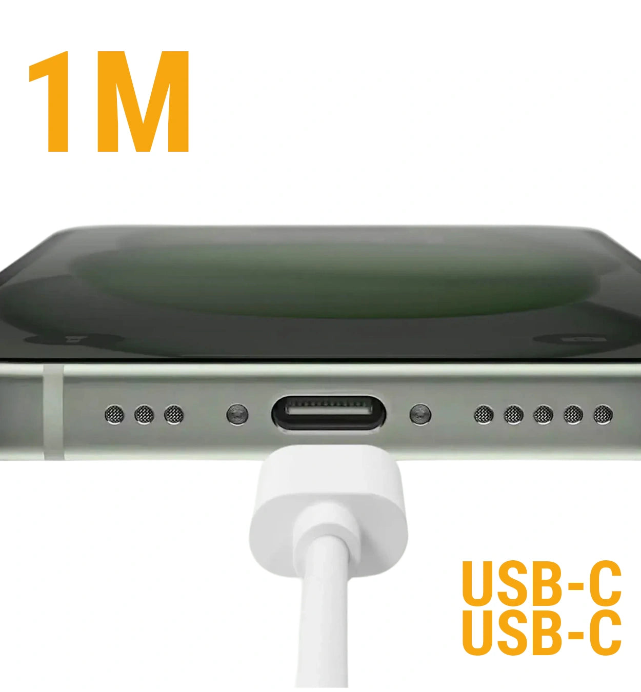 gid://shopify/Product/15640482546047_2